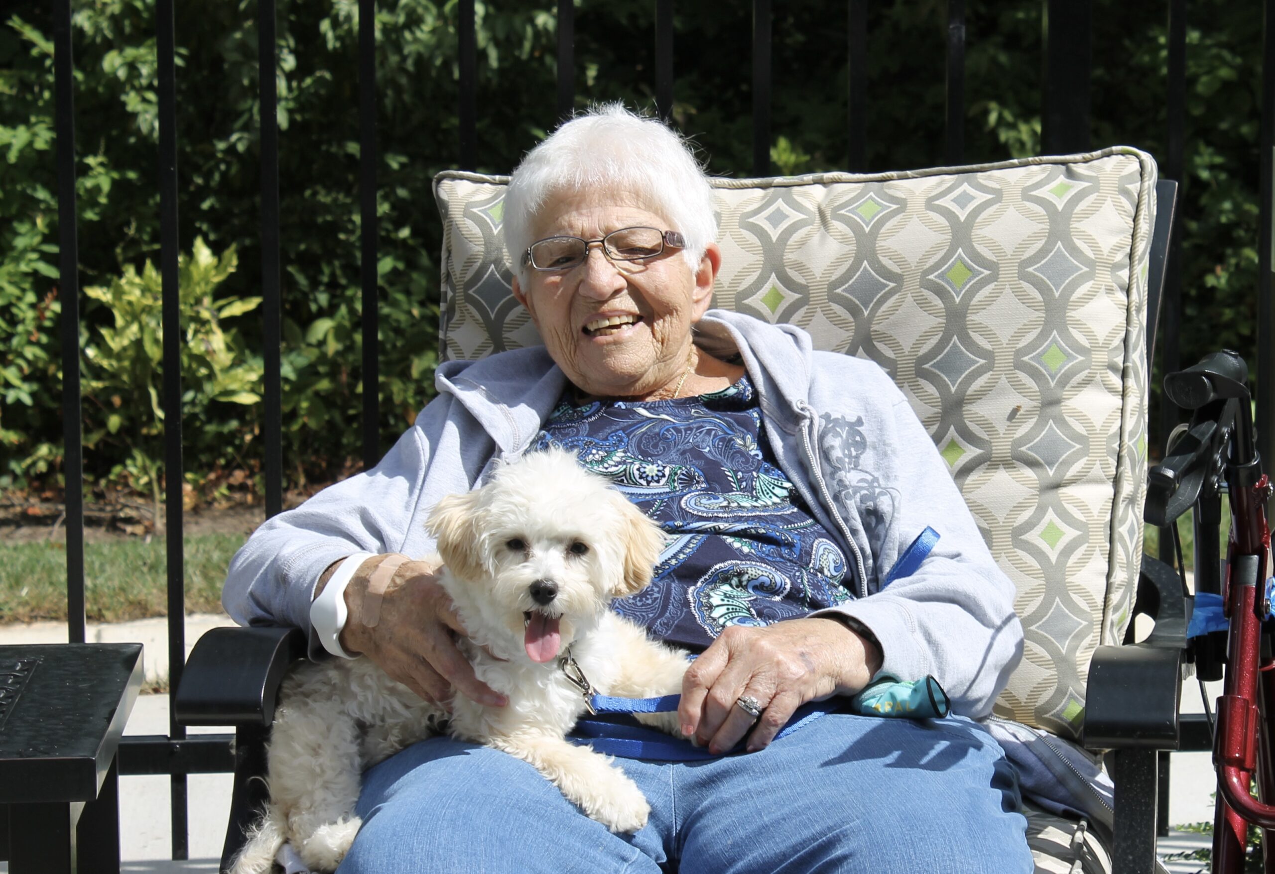 Elderly woman sitting outside with white dog on her lap.