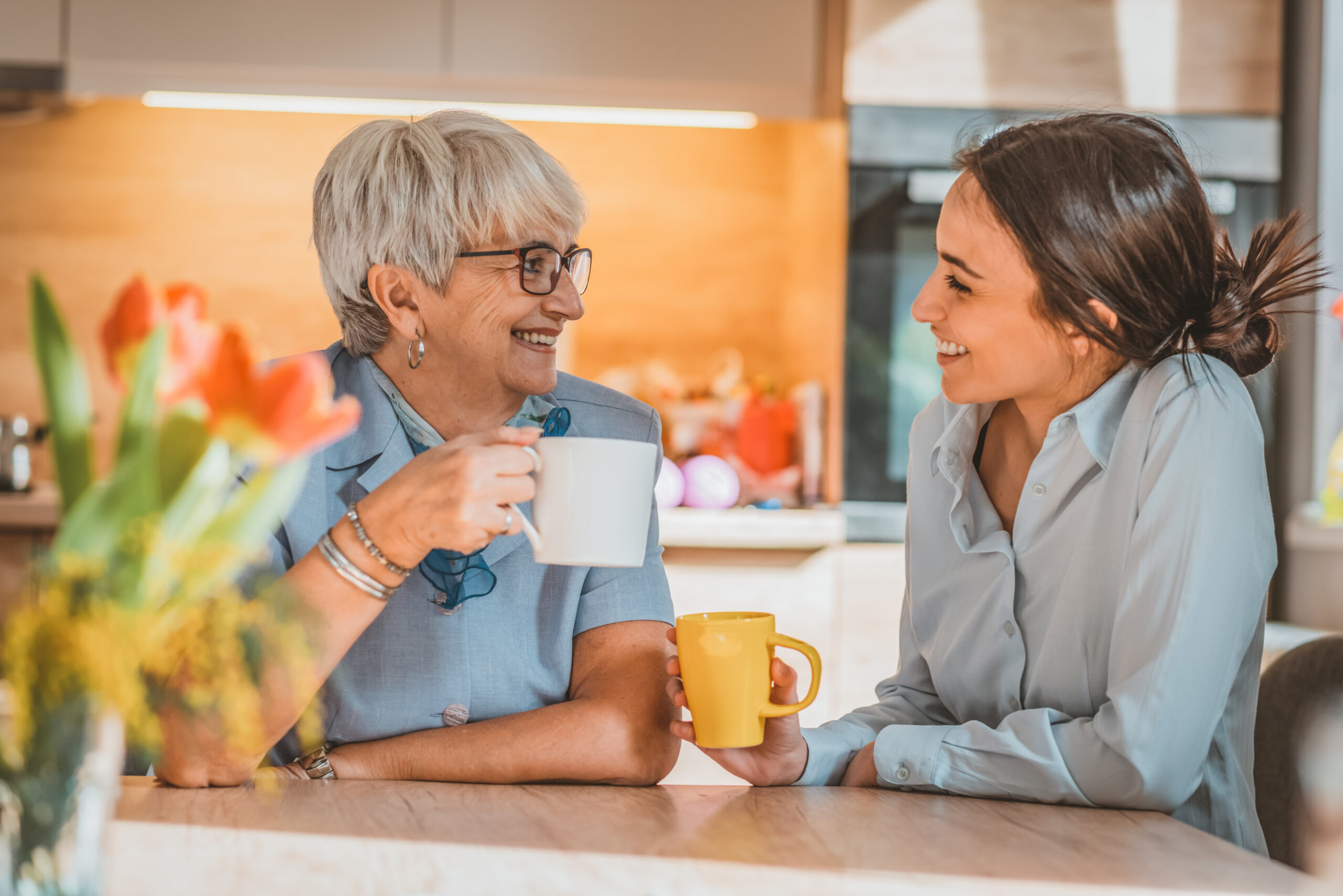 Photo of health visitor talking to a senior woman during home visit